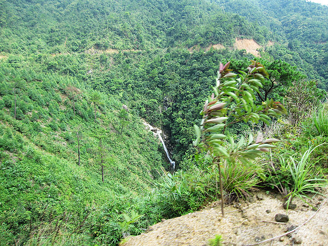 һ·�Ϸ������