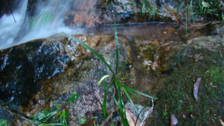 ɽ�ȵ�ʯͷ  ȫ���͹�ˮ����