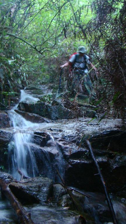 ���ű���  ����ΪӪ