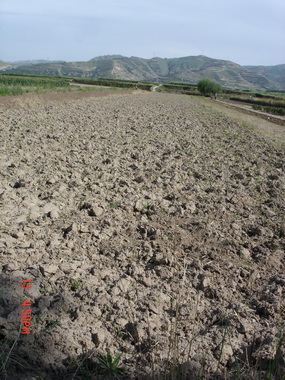 ȥ��С��Ӫ���ǳ�����ũ����һ����ʮ�׳���