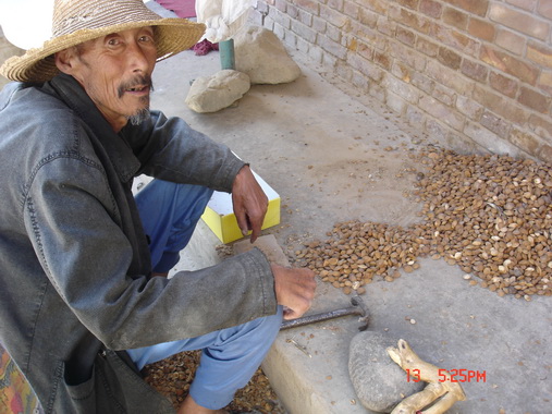 ������үү���������ʣ���������ԪǮһ��ﲹ�Ҽơ�