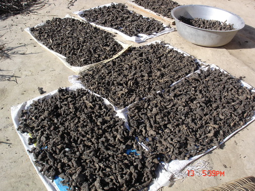 ��ʤӢ�����ֵ�ҩ��-���أ�����������Ԫһ�Ҫ���ﲹ�Ҽơ�