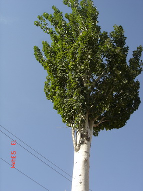 ���ǲ�����˵�Ĵ�����