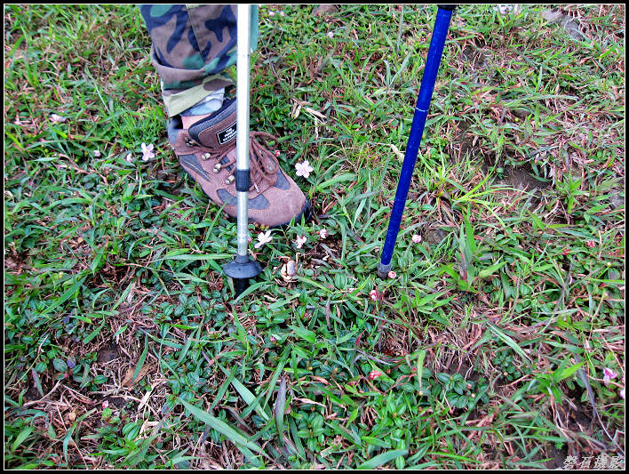 ��֣�ɽ����ô���з