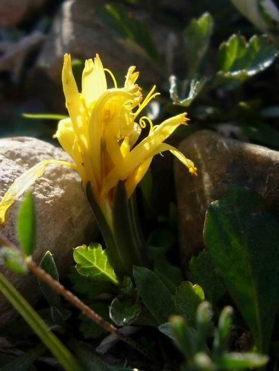 ������С �ƻ�.jpg