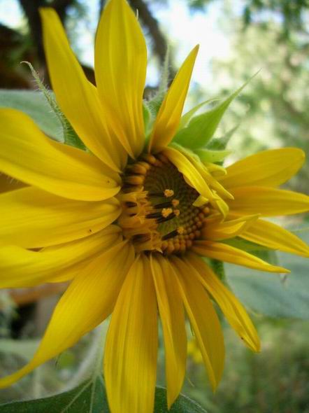 ������С ���տ�.jpg