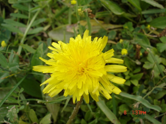 �����ص�С��