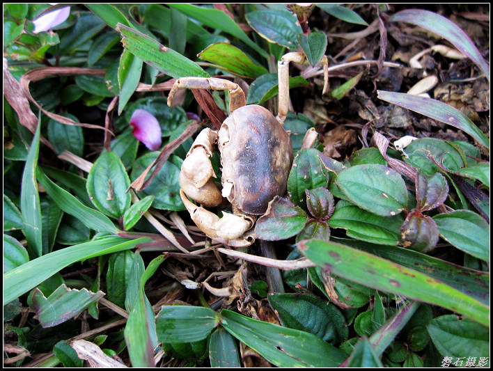 ������е���ʱ��