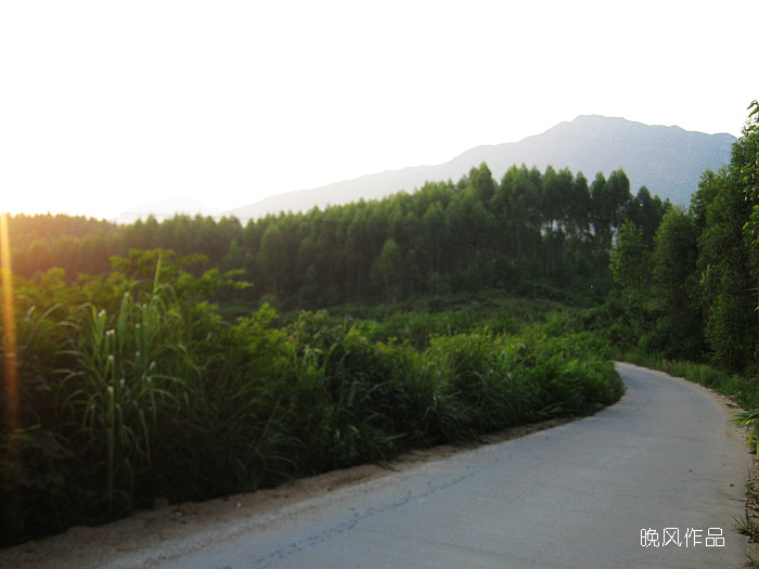 �س̵�����