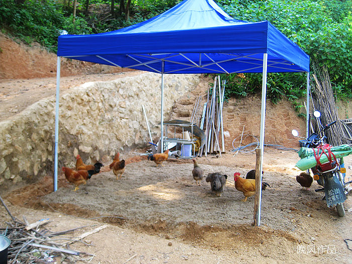 ���ǵ��ߵؼ�������