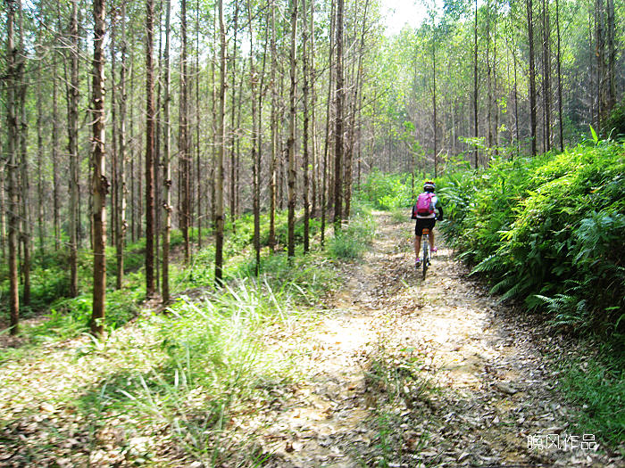 ����������С��