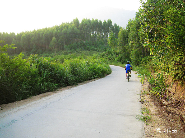 �س̵�����