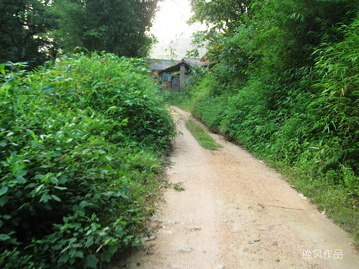 �س̵�����