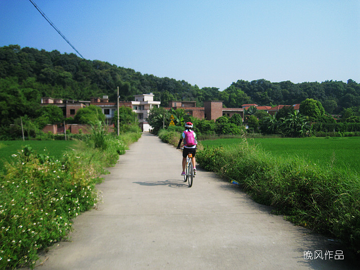 �ں���Ĵ������������ķ������