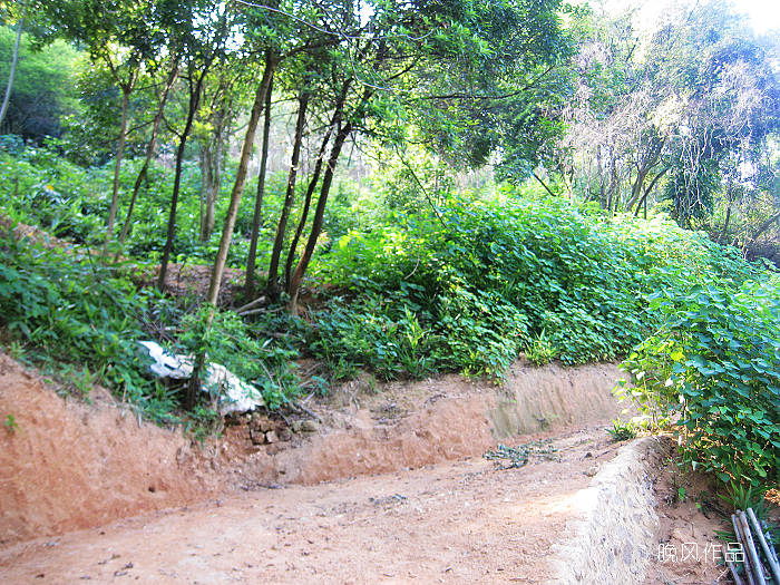 ����ɽ�����ϰ�˵��������ȥ�����ط��ˣ��´�������������������