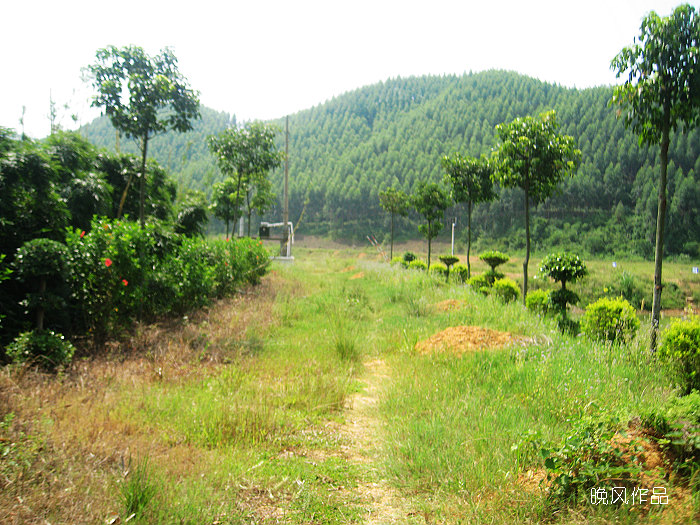 �������еĵ�·����ֱ�����޷�����