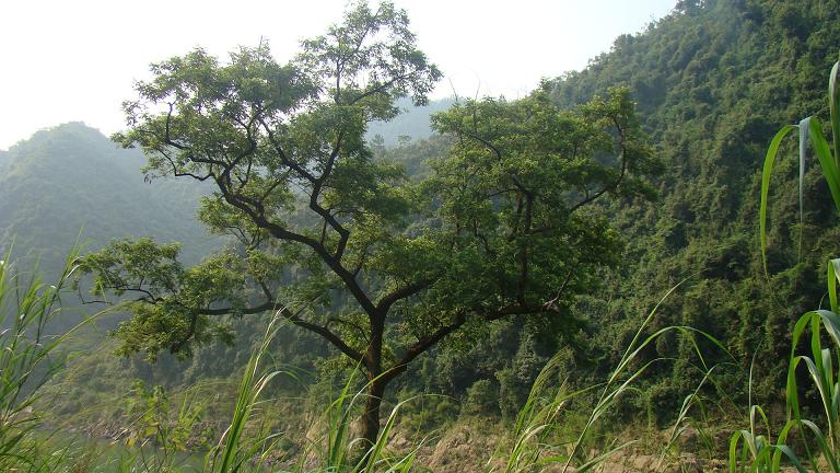 �������������ɵķ�ʽ ��չ����ؼ�  ���ǻ�ϲ