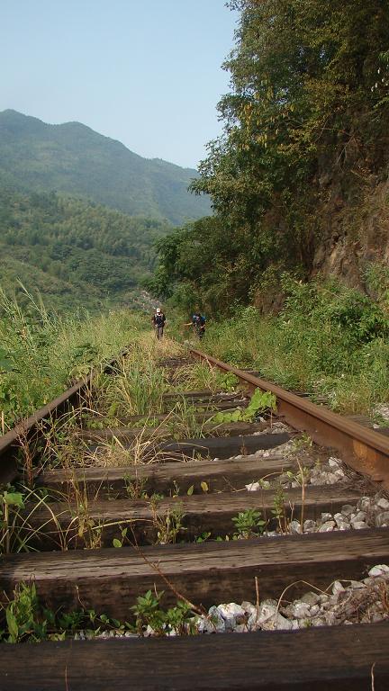  �����Ŀ��ҿ���  ����  �����ǻĲݱ߲� ����  ��֪���Ƿ�Ҳ������·��  ��������������