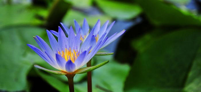 nEO_IMG_��Ƭ 008.jpg