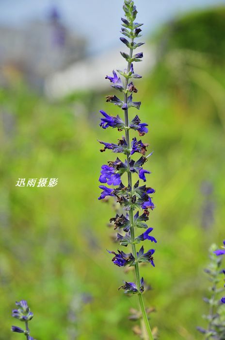 nEO_IMG_��Ƭ 043.jpg