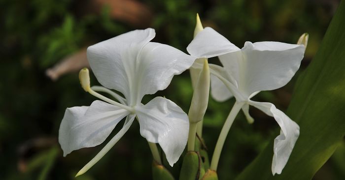 nEO_IMG_��Ƭ 133.jpg