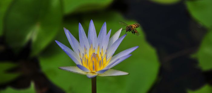 nEO_IMG_��Ƭ 069.jpg