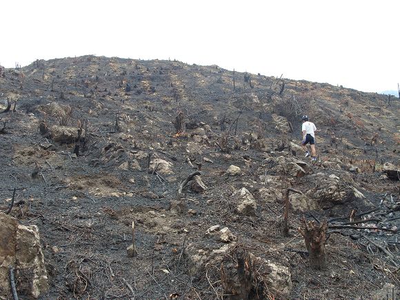 һ��������ֳ�