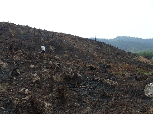 ���ַ�����������