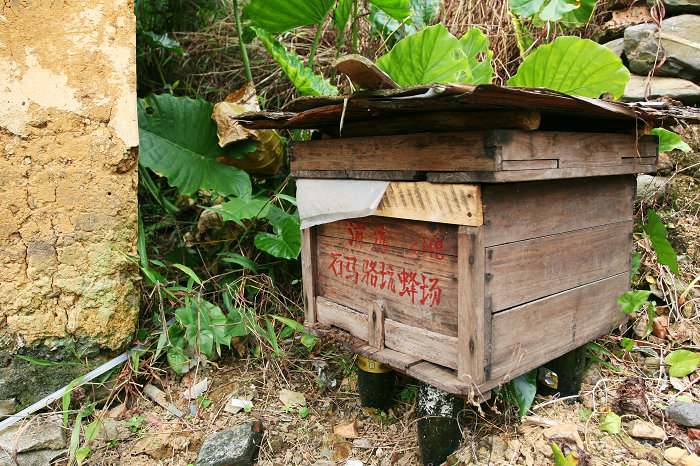 ע���̱�ķ���