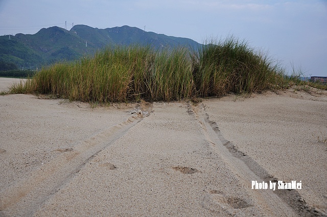 ����ս���߹��ĺۼ�