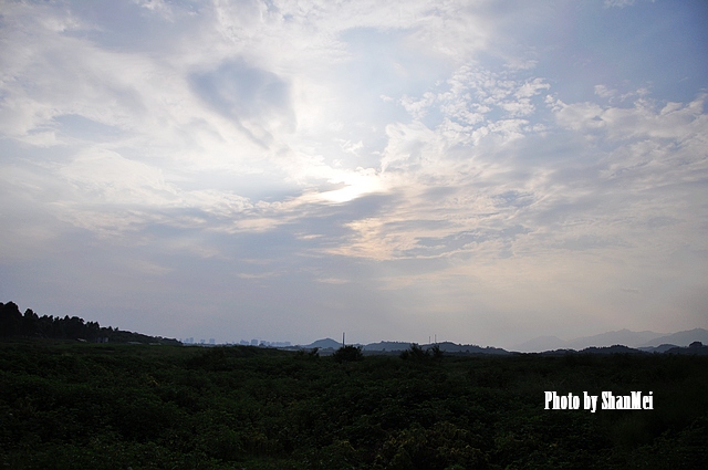 D90��ע�޵���������������Ʋ�