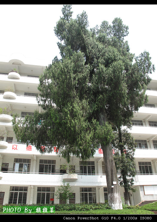 ����������������800���ˡ�