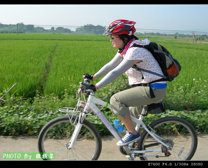 jay�ԣ���������