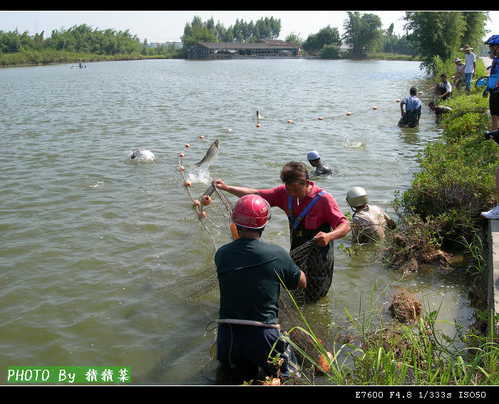 ��Ԩ����