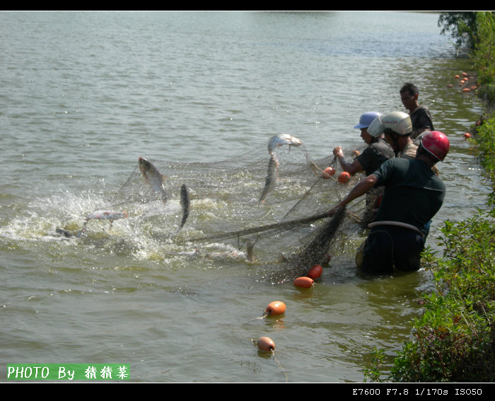 �����˶�����