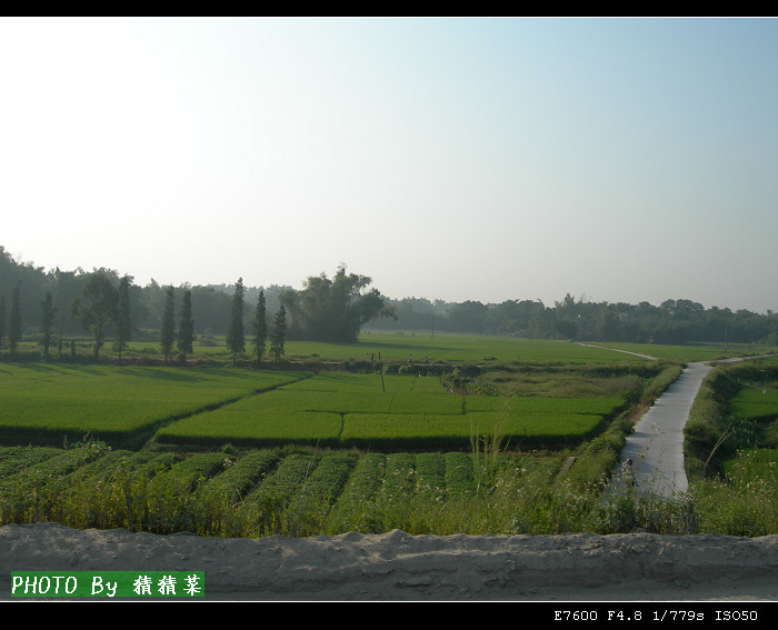 ���ڵ���԰���