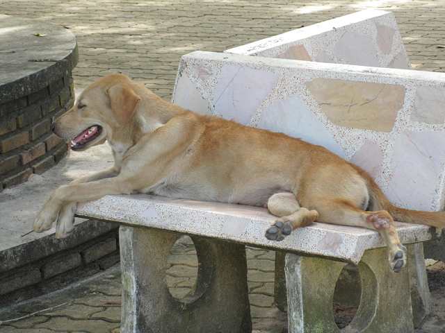 �����������ӿ�