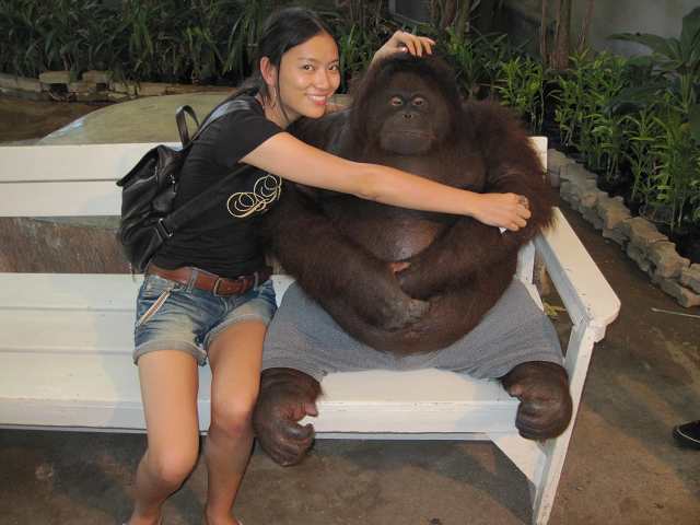 ����ơ�ƶ��湻���Ŷ