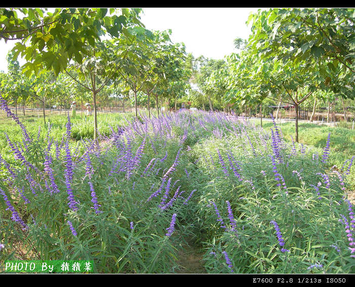 �����н�ʮ��Ʒ�ֵ�޹�²�