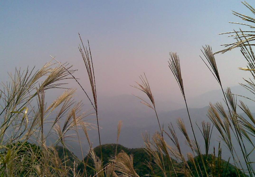 ����ɽ��