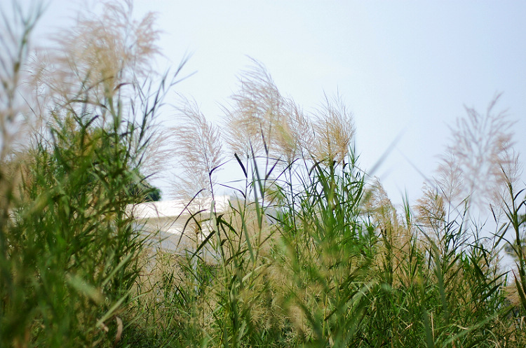 ������«έ