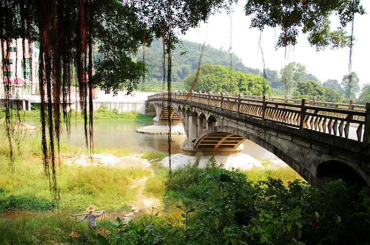 �����ľ���