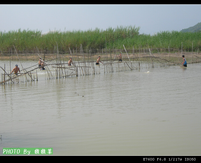 ������׳ʿ�ڸ���