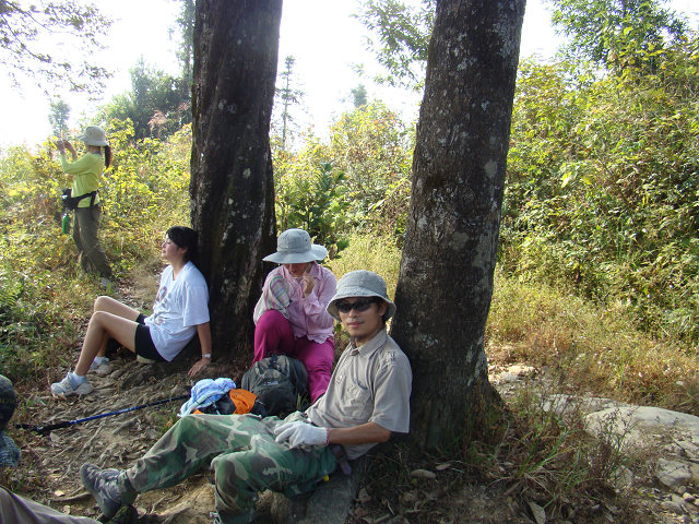 û��ɽ���ҿô���������