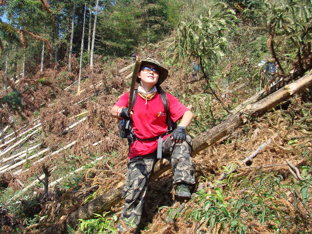 ��Ҫ���ҡ���������