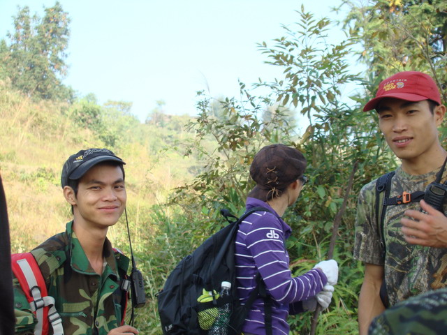 ���Ƶĵ���Ӧ�õ絹�˲���MM��