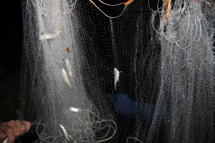 ������С IMG_1621.JPG