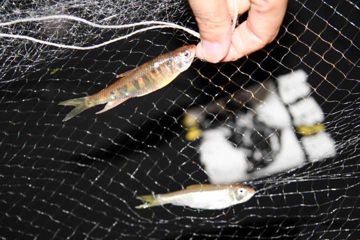 ������С IMG_1623.JPG