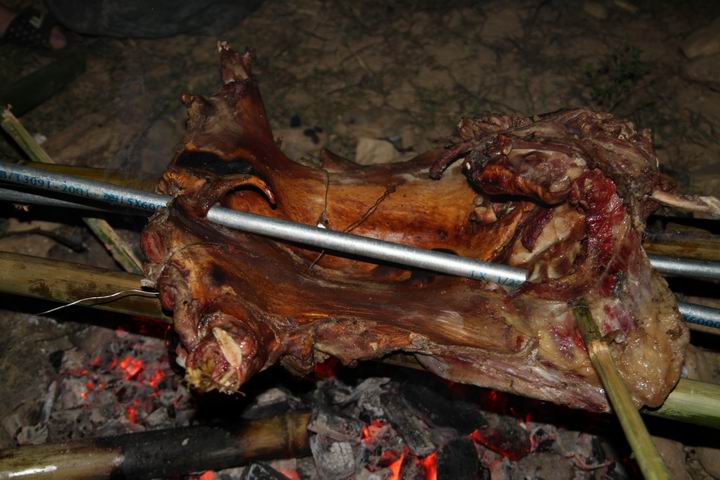 ������С IMG_1643.JPG