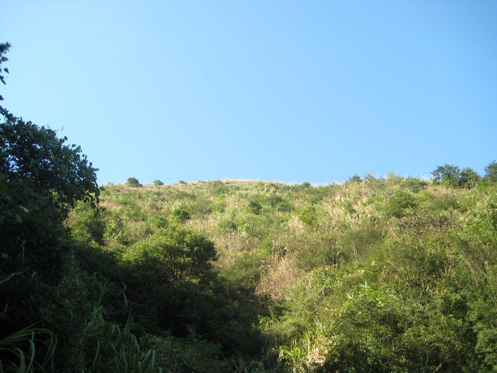 ����ʤ�������